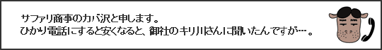 カバサワ）サファリ商事のカバ沢です。聞いたんですが、ひかり電話って安いんですか？